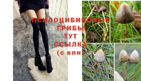 трава Дмитровск