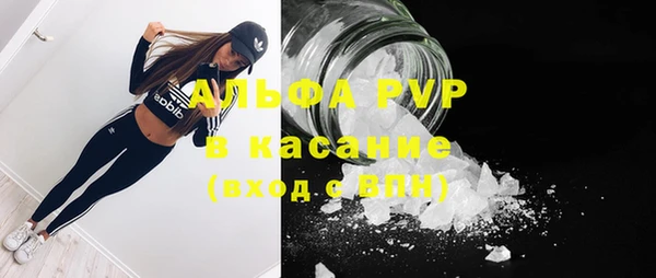 мет Дмитриев