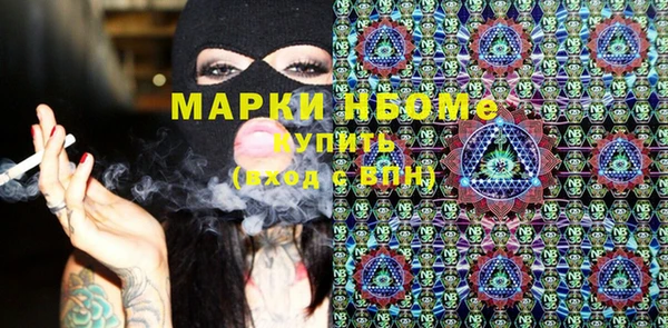 твердый Михайлов