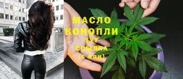 мет Дмитриев